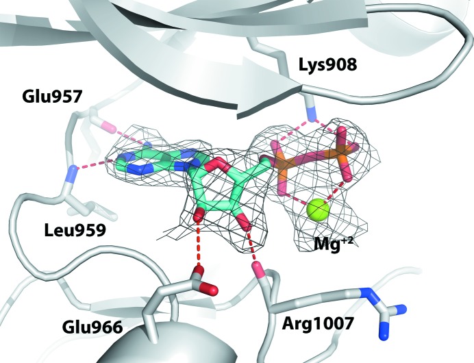 Figure 4