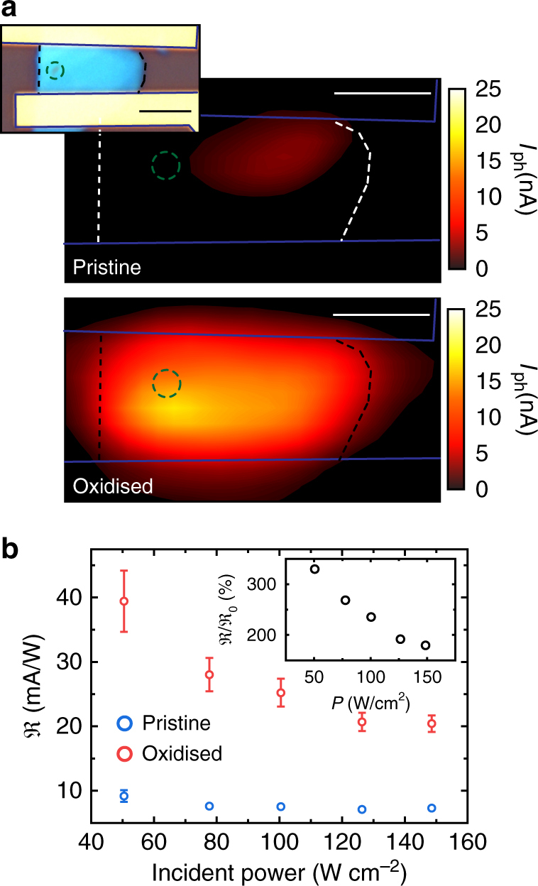 Fig. 3