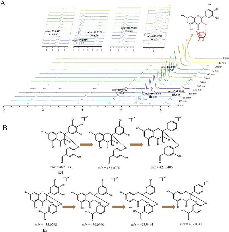 Fig. 8