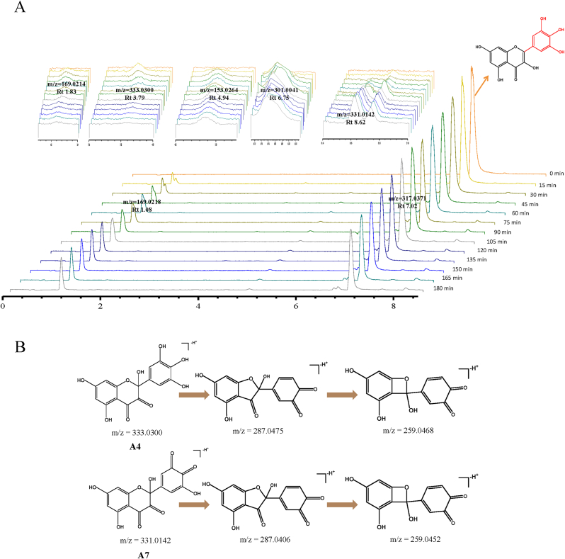 Fig. 4