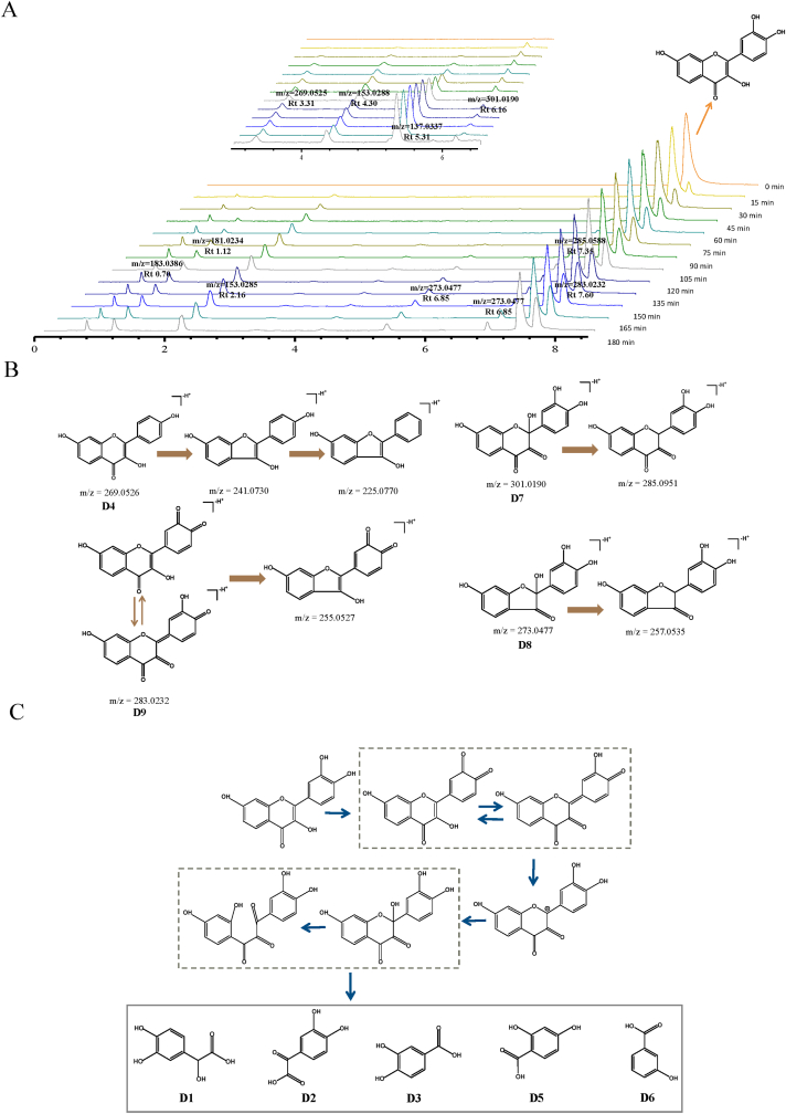 Fig. 7