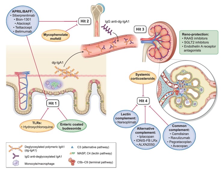 Figure 1: