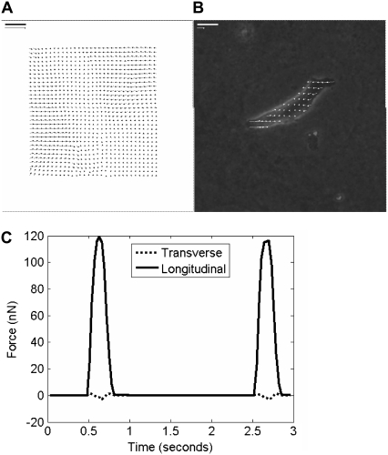 FIGURE 4