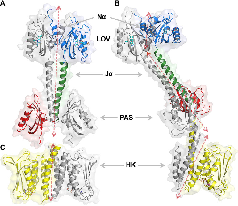 FIG 2