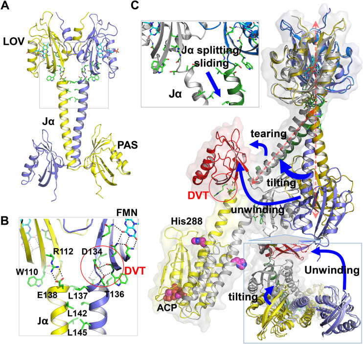 FIG 3