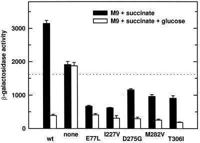 FIG. 1