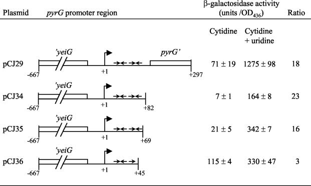 FIG. 7.