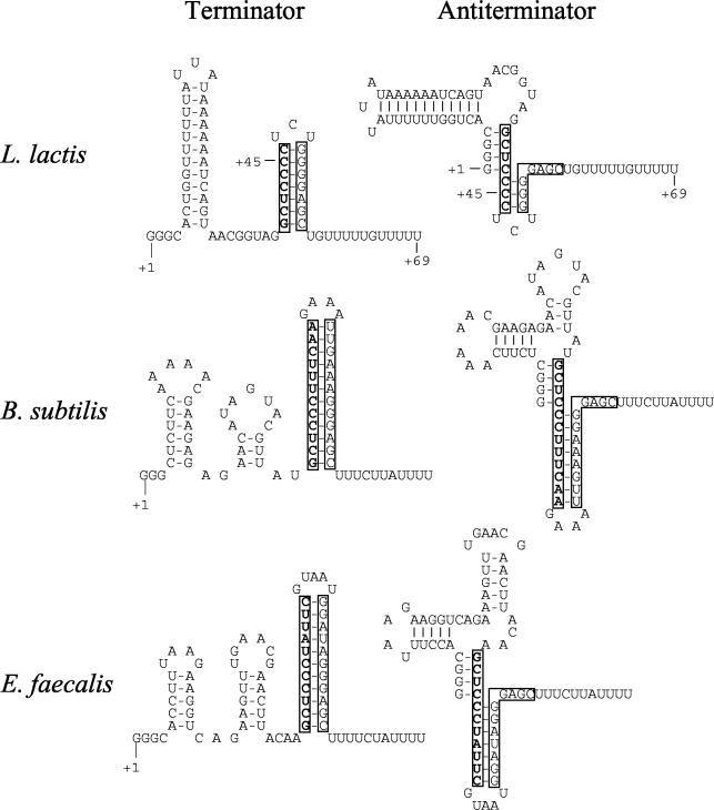 FIG. 8.