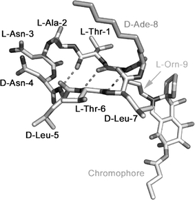 Fig. 6.