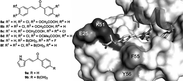 Fig. 9.