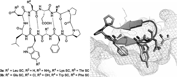 Fig. 5.