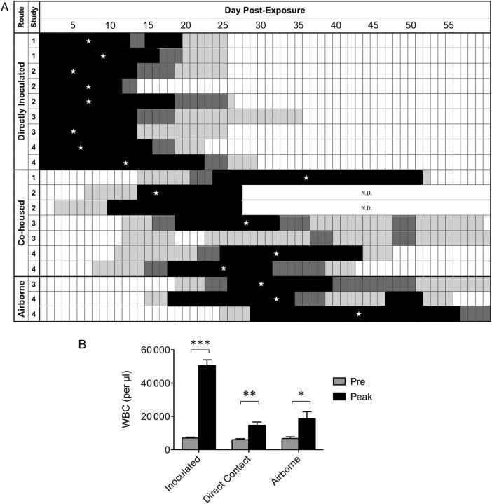 Figure 2.