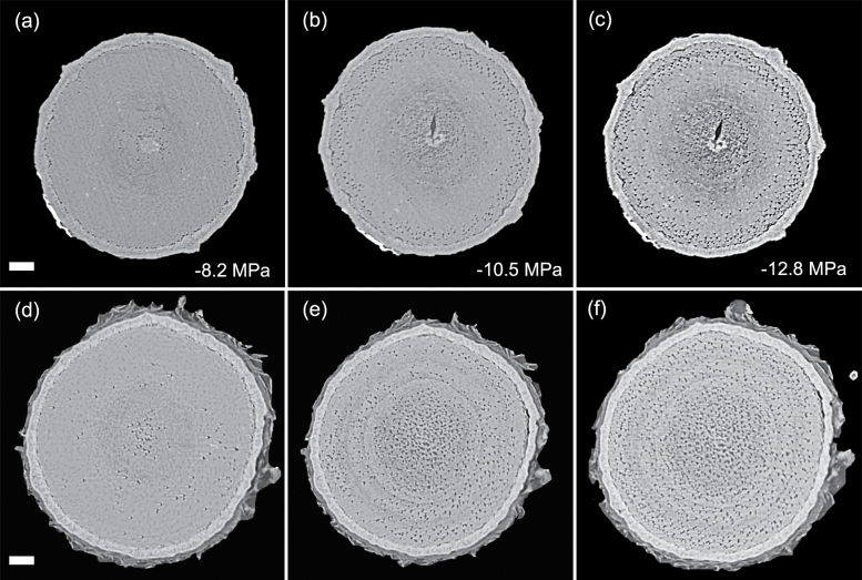 Fig. 5.