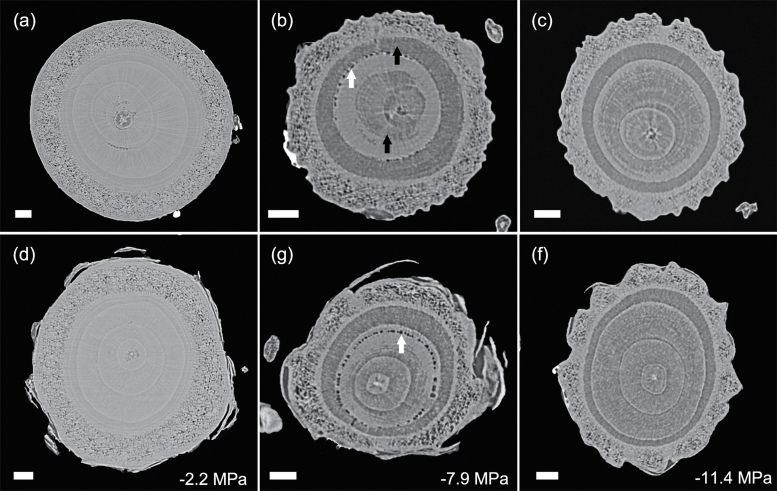 Fig. 8.