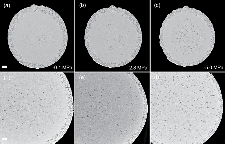 Fig. 7.