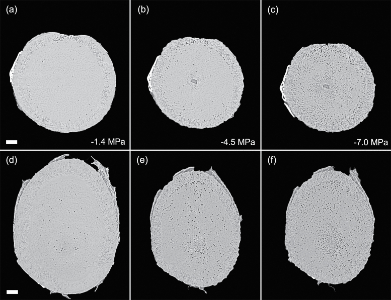 Fig. 6.