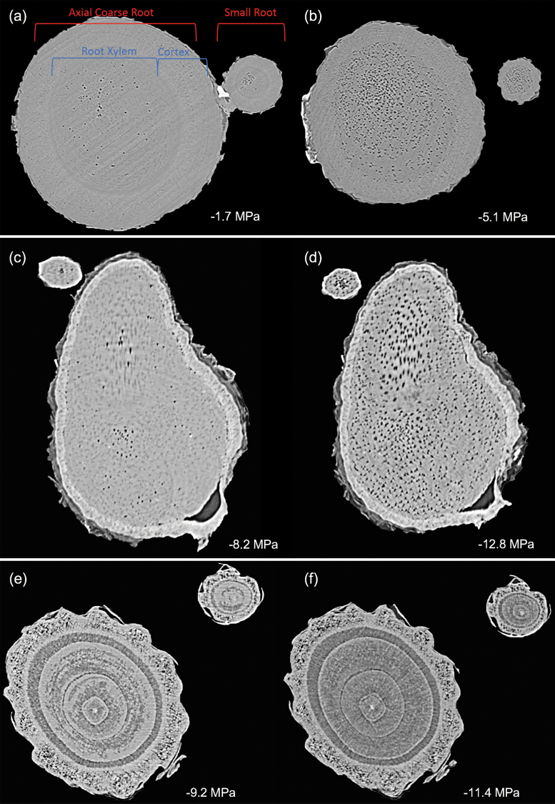 Fig. 9.