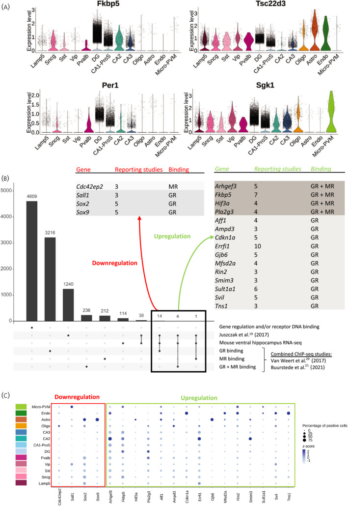 FIGURE 3