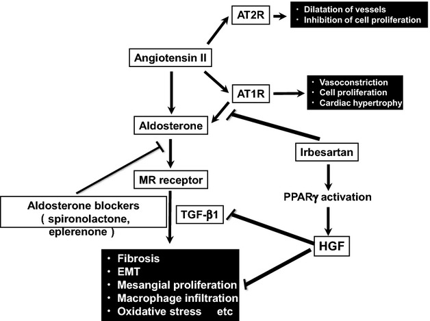 Figure 10.