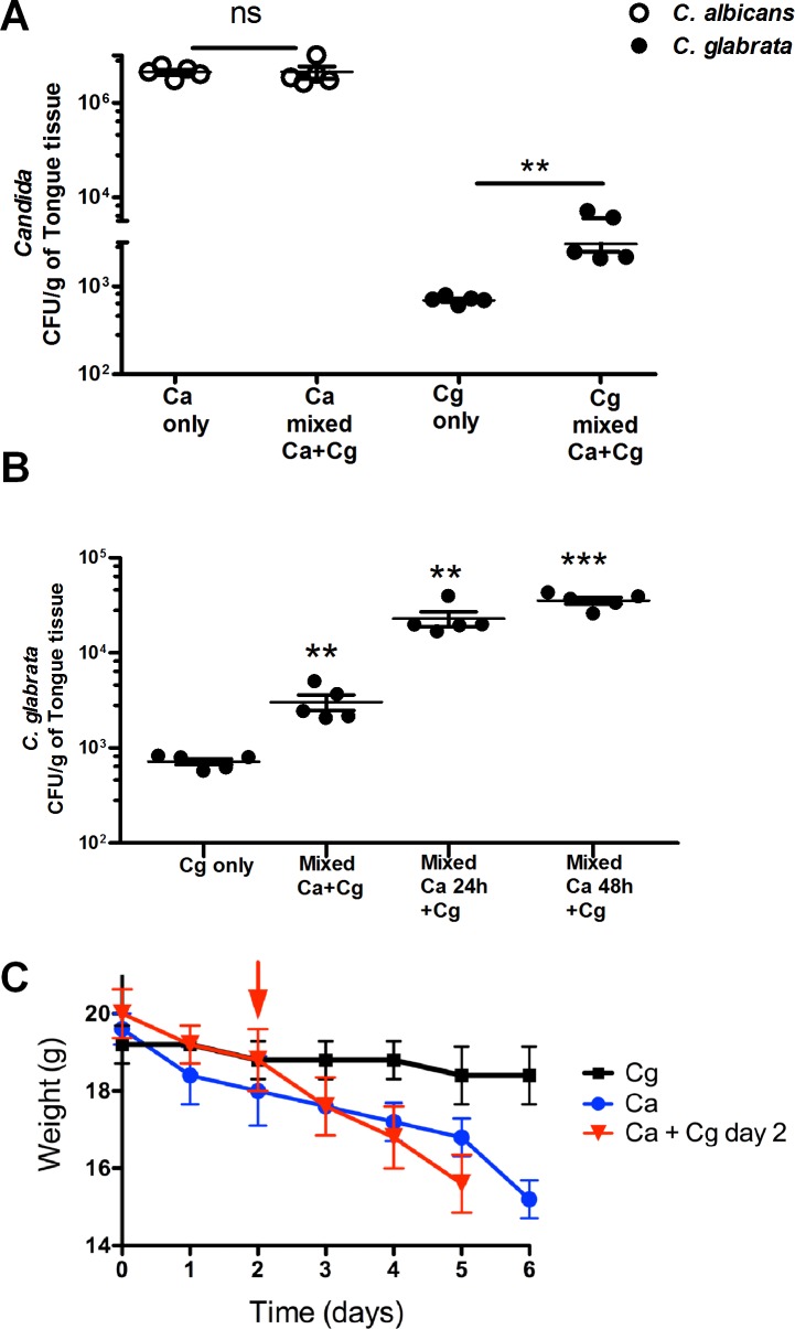 Fig 4