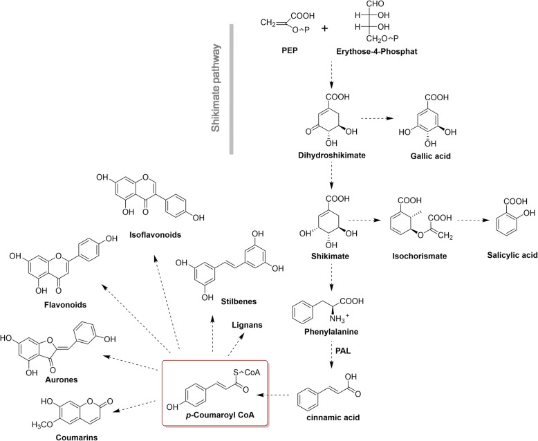 Fig. 10