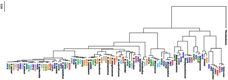 FIGURE 1