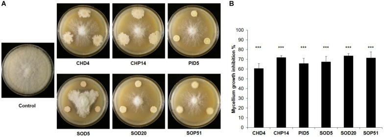 FIGURE 3