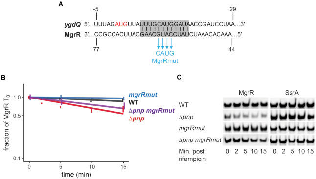 Figure 6.