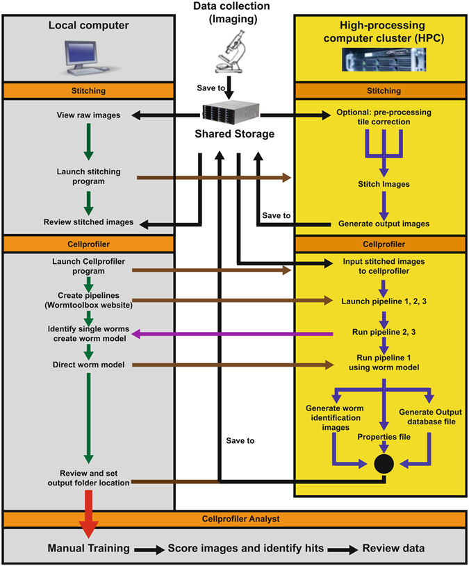 Fig. 2