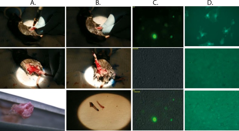 Figure 2.