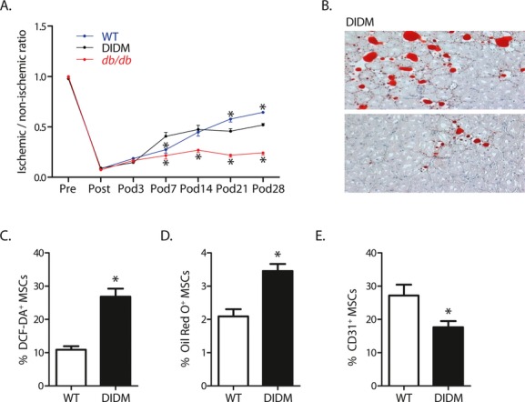 Figure 12.