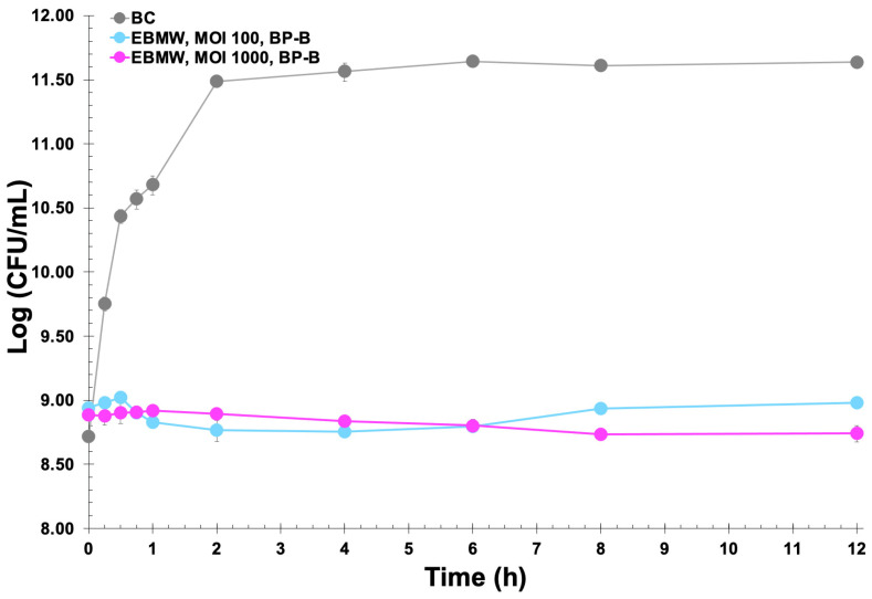 Figure 11