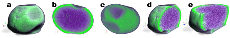 Figure 16