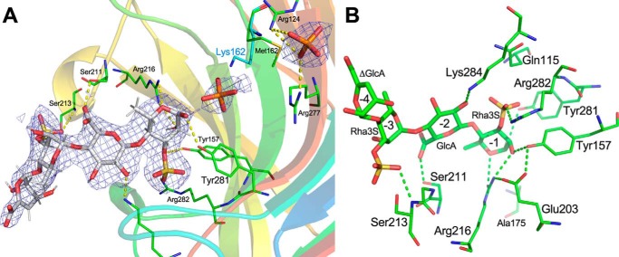 Figure 5.