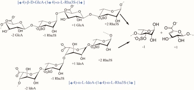 Scheme 1.