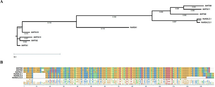 Figure 1.