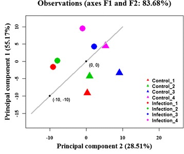 Fig. 2