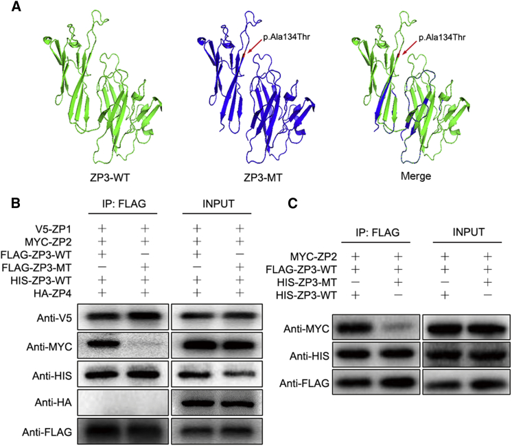 Figure 3