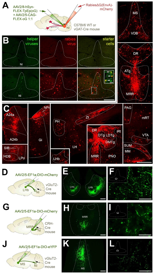 Figure 4: