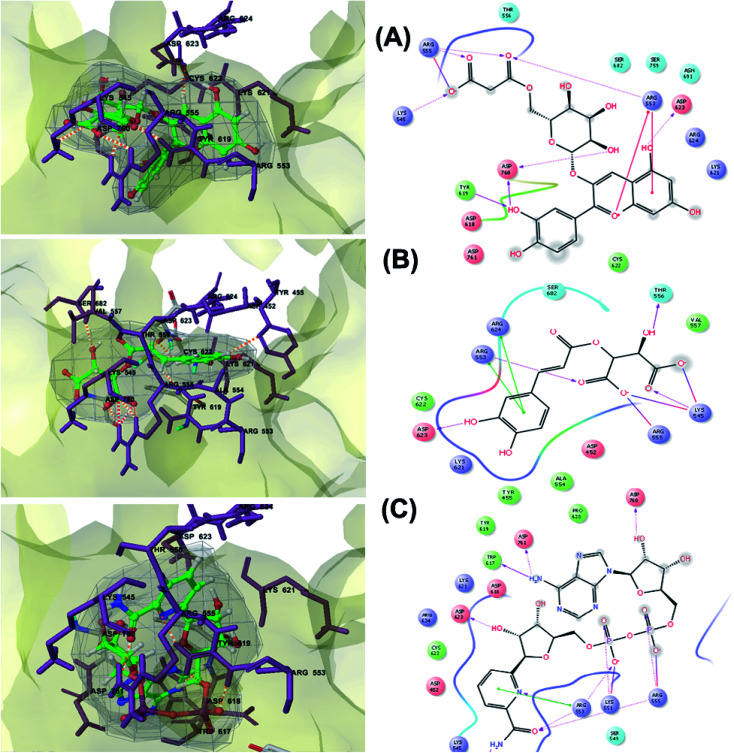 Fig. 3