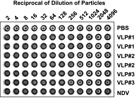 FIG. 3.