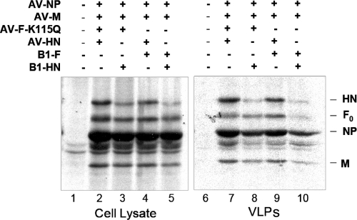 FIG. 7.