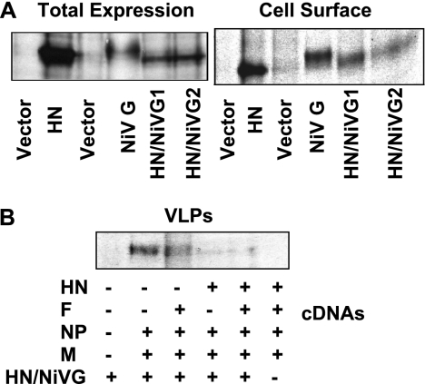 FIG. 10.