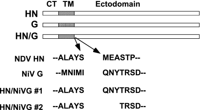 FIG. 9.