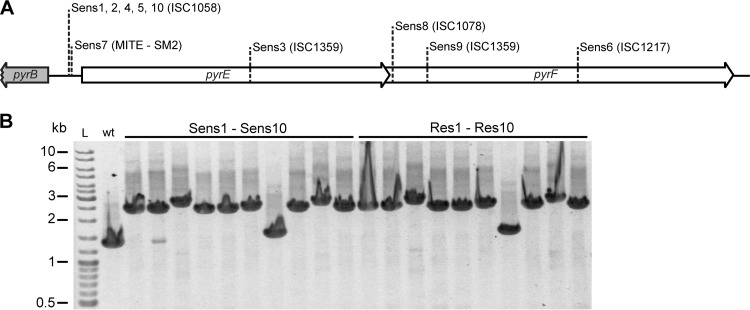 FIG 2