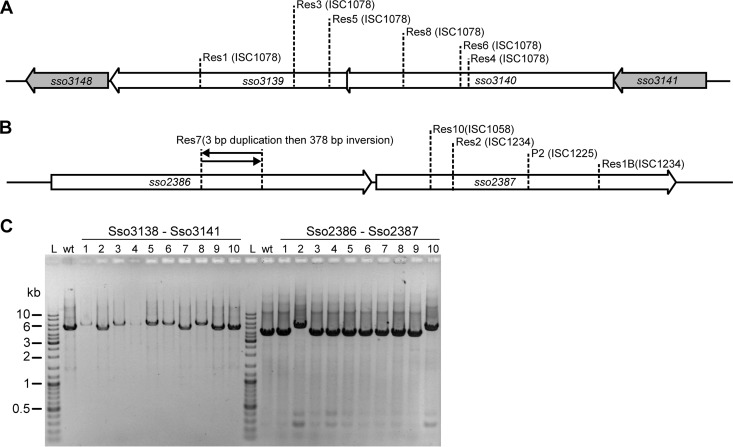 FIG 3