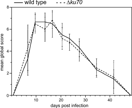 Fig. 4.