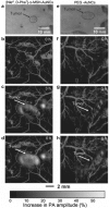 Fig. 11