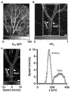 Fig. 9