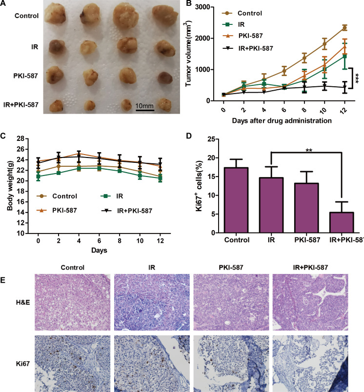 Fig 6